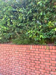 Sunset Way (D21), Detached #461783131